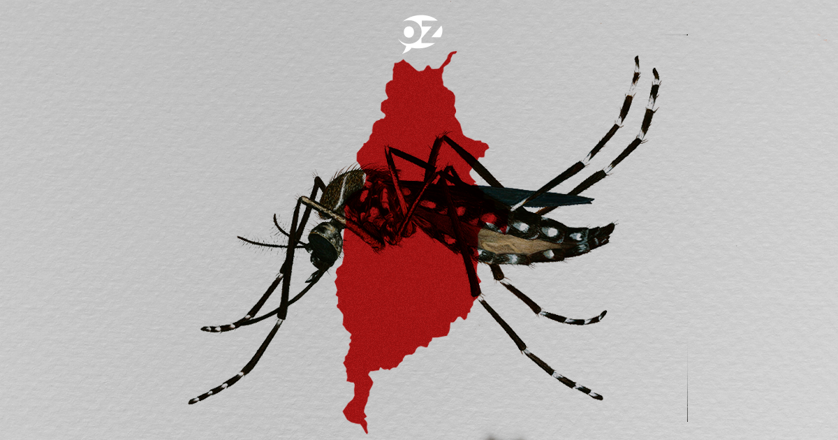 Casos de dengue crescem 5 vezes em Osasco