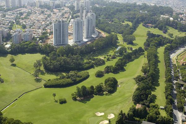 Coalizão Verde: Juliana Curvelo, Monica Seixas e Sâmia Bomfim Lançam Ação Contra Destruição Ambiental em Osasco